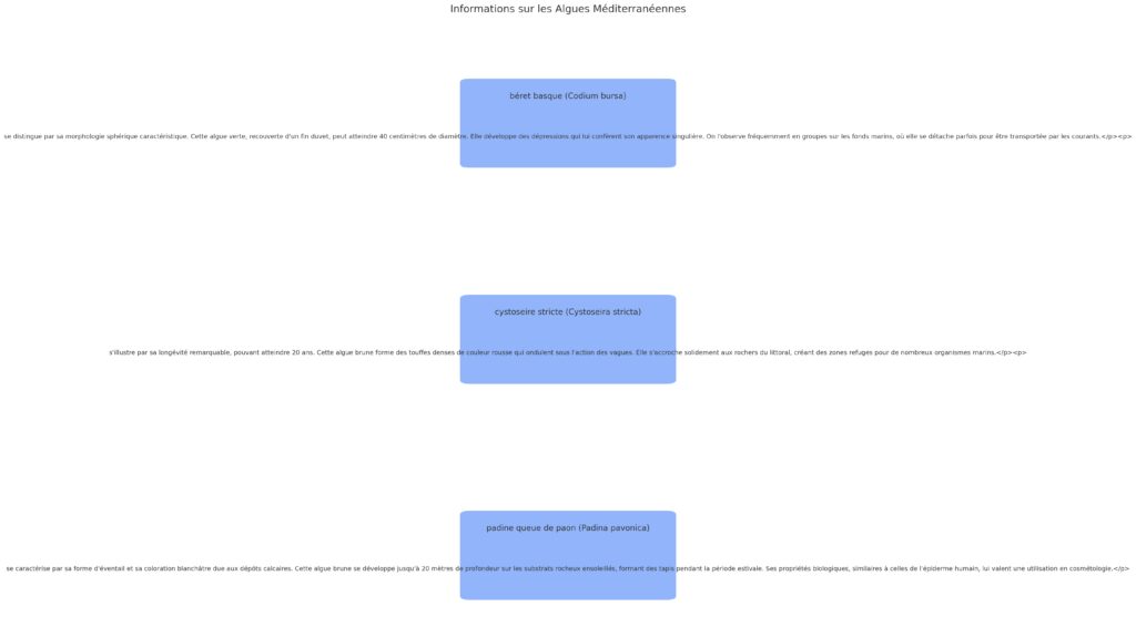 Diversité des algues méditerranéennes Diversité des algues méditerranéennes