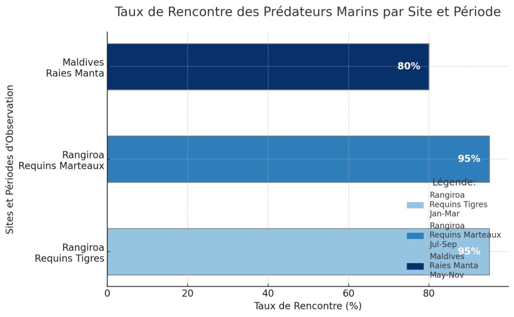 Rencontres avec les grands prédateurs marins Rencontres avec les grands prédateurs marins