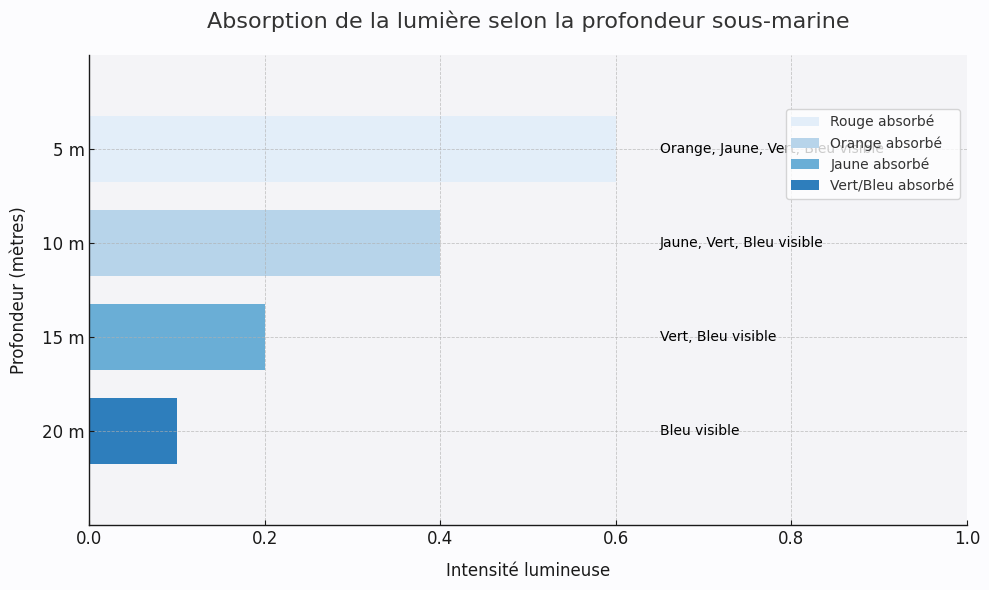 Les défis physiques de la prise de vue sous l'eau Les défis physiques de la prise de vue sous l'eau