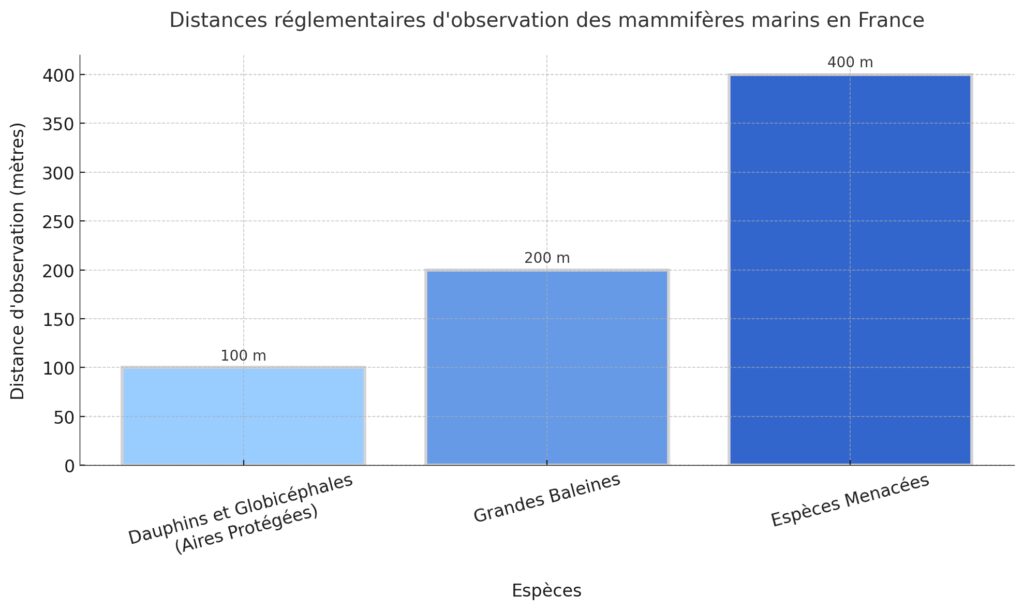 Règles et distances d'observation des mammifères marins