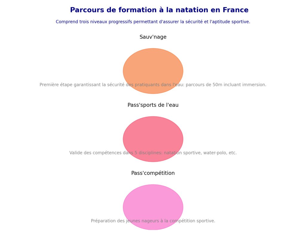La formation et la sécurité aquatique